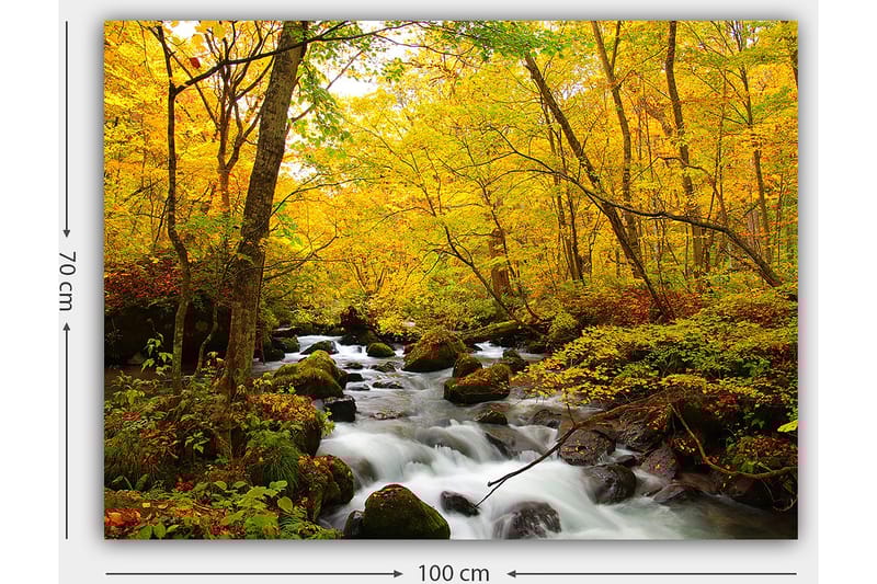 Canvastavla 70x100 cm - Vacker höstscen med ett porlande vattendrag omgiven av gyllene och röda träd - Guldgul / Mörkgrön / Röd - Inredning & dekor - Tavlor & konst - Canvastavla