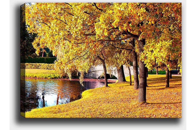 Canvastavla 70x100 cm - Vacker höstscen med gyllene träd som speglar sig i en stilla sjö - Guld / Grön / Brun - Inredning & dekor - Tavlor & konst - Canvastavla