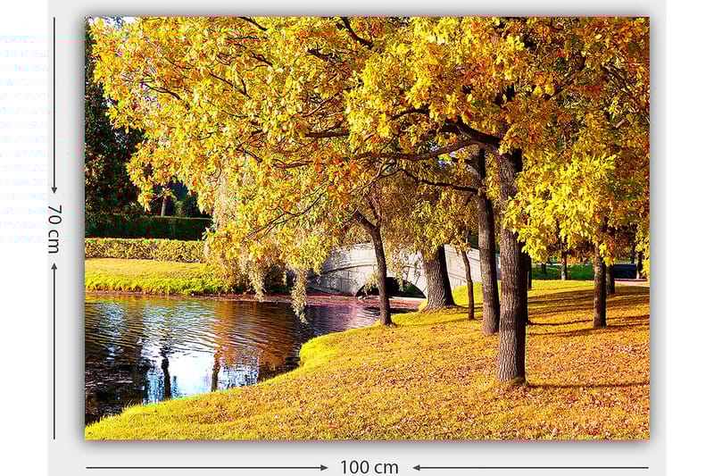 Canvastavla 70x100 cm - Vacker höstscen med gyllene träd som speglar sig i en stilla sjö - Guld / Grön / Brun - Inredning & dekor - Tavlor & konst - Canvastavla