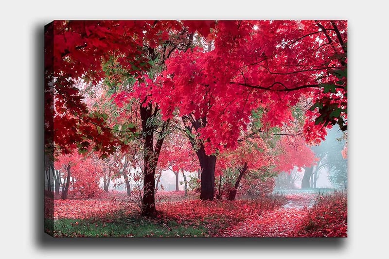 Canvastavla 70x100 cm - Vacker höstscen med röda och orangea löv som täcker träden och marken - Röd / Orange / Grön - Inredning & dekor - Tavlor & konst - Canvastavla