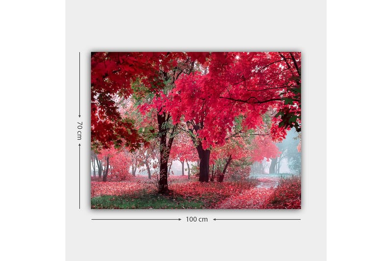 Canvastavla 70x100 cm - Vacker höstscen med röda och orangea löv som täcker träden och marken - Röd / Orange / Grön - Inredning & dekor - Tavlor & konst - Canvastavla