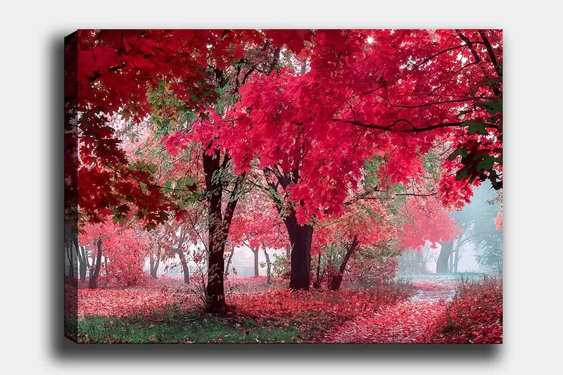 Canvastavla 70x100 cm - Vacker höstscen med röda och orangea löv som täcker träden och marken, Röd / Orange / Grön