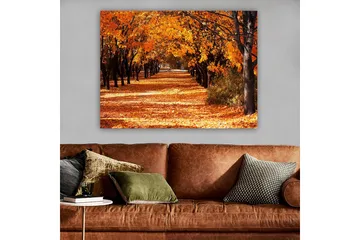 Canvastavla 70x100 cm - Vacker höstscen med träd i starka orangea och gula nyanser som skapar en inbjudande gångväg täckt av fallna löv - Orange / Gult / Brunt - Inredning & dekor - Tavlor & konst - Canvastavla