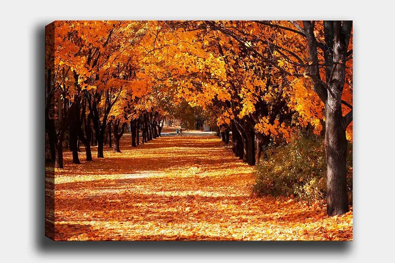 Canvastavla 70x100 cm - Vacker höstscen med träd i starka orangea och gula nyanser som skapar en inbjudande gångväg täckt av fallna löv - Orange / Gult / Brunt - Inredning & dekor - Tavlor & konst - Canvastavla