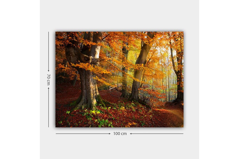 Canvastavla 70x100 cm - Vacker höstskog med färgglada träd och fallna löv - Orange / Röd / Brun - Inredning & dekor - Tavlor & konst - Canvastavla