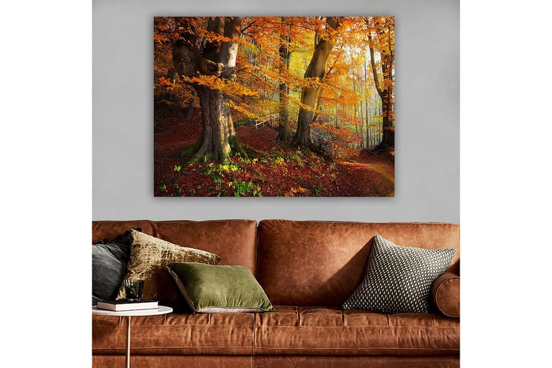 Canvastavla 70x100 cm - Vacker höstskog med färgglada träd och fallna löv - Orange / Röd / Brun - Inredning & dekor - Tavlor & konst - Canvastavla