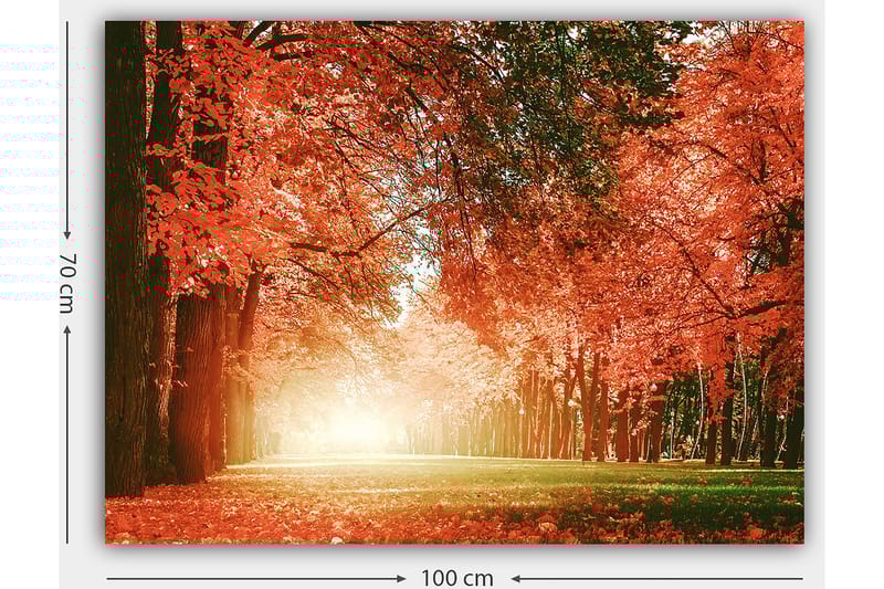 Canvastavla 70x100 cm - Vacker höstskog med strålande orangea och röda löv som skapar en varm och inbjudande atmosfär - Orange / Röd / Grön - Inredning & dekor - Tavlor & konst - Canvastavla