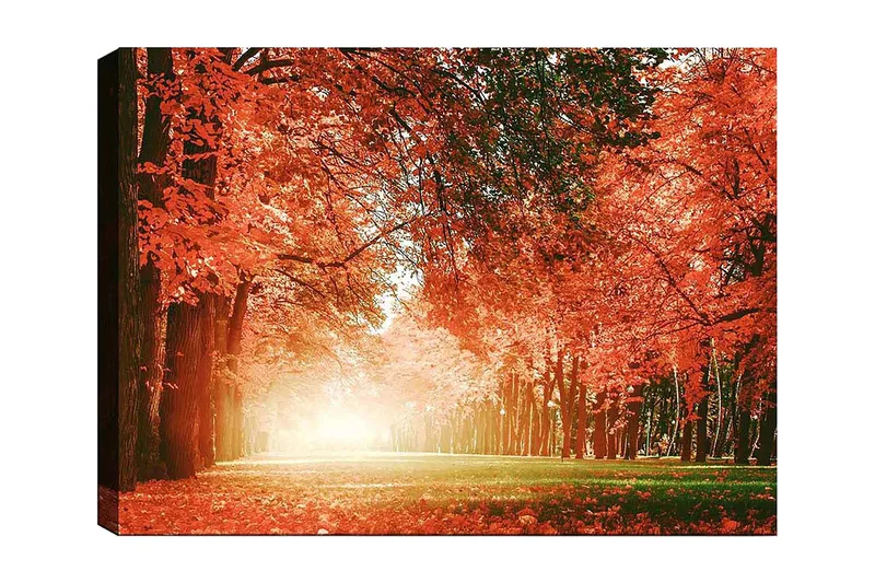 Canvastavla 70x100 cm - Vacker höstskog med strålande orangea och röda löv som skapar en varm och inbjudande atmosfär, Orange / Röd / Grön