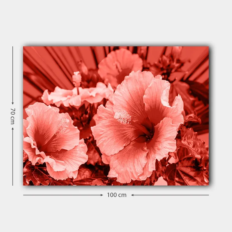 Canvastavla 70x100 cm - Vacker komposition av hibiskusblommor i olika nyanser av röd färg - Röd / Ljusrosa - Inredning & dekor - Tavlor & konst - Canvastavla