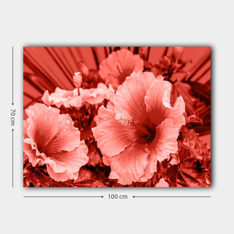Canvastavla 70x100 cm - Vacker komposition av hibiskusblommor i olika nyanser av röd färg - Röd / Ljusrosa - Inredning & dekor - Tavlor & konst - Canvastavla