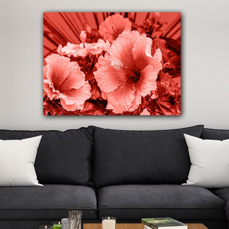Canvastavla 70x100 cm - Vacker komposition av hibiskusblommor i olika nyanser av röd färg - Röd / Ljusrosa - Inredning & dekor - Tavlor & konst - Canvastavla