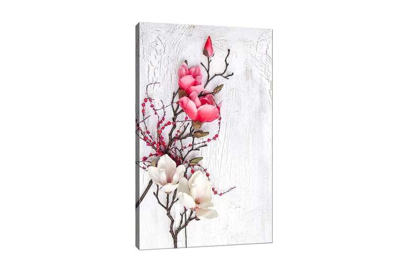 Canvastavla 70x100 cm - Vacker komposition av magnoliablommor i rosa och vitt på en subtil bakgrund - Rosa / Vit / Grön - Inredning & dekor - Tavlor & konst - Canvastavla