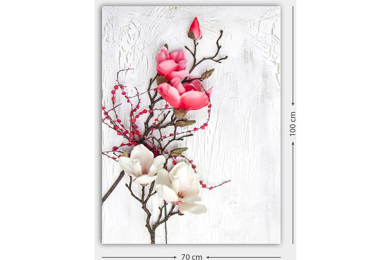 Canvastavla 70x100 cm - Vacker komposition av magnoliablommor i rosa och vitt på en subtil bakgrund - Rosa / Vit / Grön - Inredning & dekor - Tavlor & konst - Canvastavla