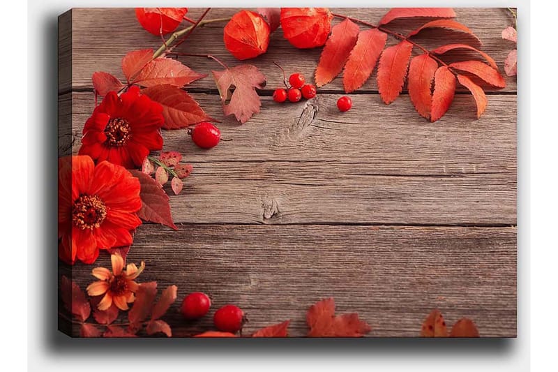 Canvastavla 70x100 cm - Vacker komposition av röda blommor och höstlöv mot en träbakgrund - Röd / Orange / Brun - Inredning & dekor - Tavlor & konst - Canvastavla