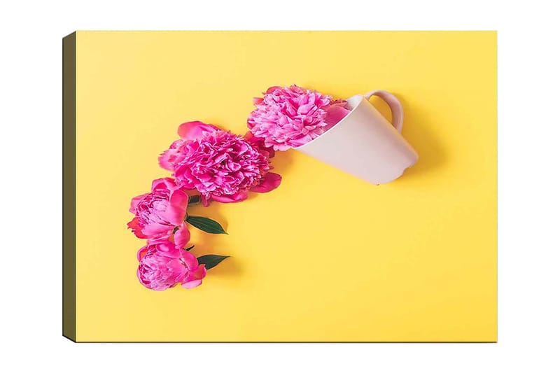 Canvastavla 70x100 cm - Vacker komposition av rosa pioner som hänger över en vit kopp - Rosa / Gul - Inredning & dekor - Tavlor & konst - Canvastavla