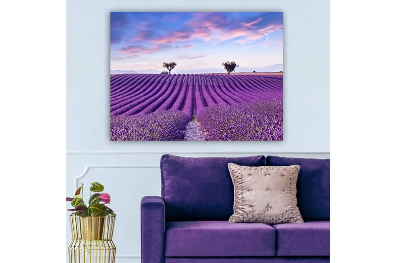 Canvastavla 70x100 cm - Vacker lavendelfält med mjuka, vågiga rader av lavendelblommor under en klar himmel - Lila / Grön / Blå - Inredning & dekor - Tavlor & konst - Canvastavla