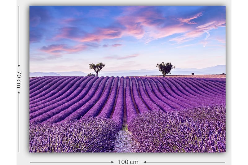 Canvastavla 70x100 cm - Vacker lavendelfält med mjuka, vågiga rader av lavendelblommor under en klar himmel - Lila / Grön / Blå - Inredning & dekor - Tavlor & konst - Canvastavla