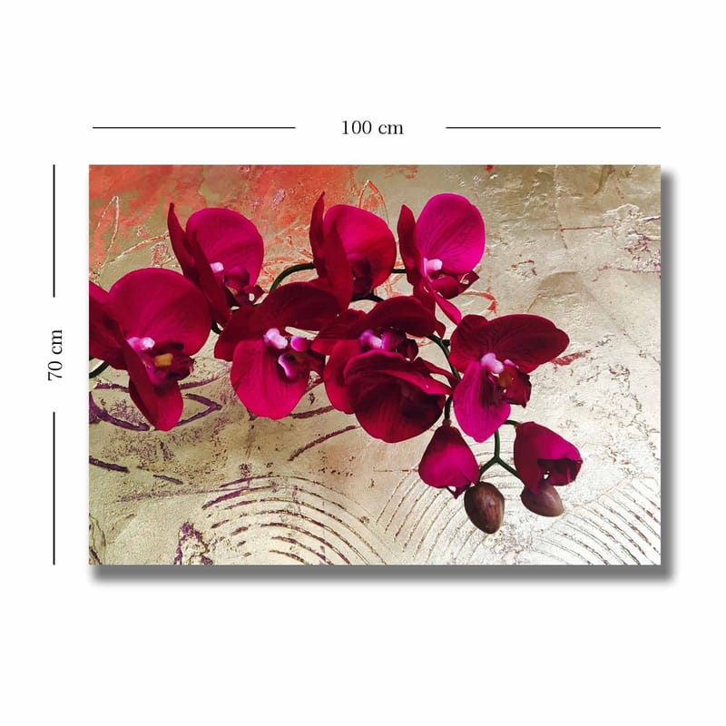 Canvastavla 70x100 cm - Vacker orkidé med djuprosa blommor mot en gyllene bakgrund - Djuprosa / Guld - Inredning & dekor - Tavlor & konst - Canvastavla