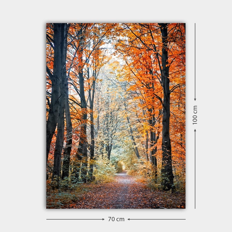 Canvastavla 70x100 cm - Vacker skogsstig omgiven av höstfärger och träd med gyllene och orange löv - Orange / Guld / Grön - Inredning & dekor - Tavlor & konst - Canvastavla
