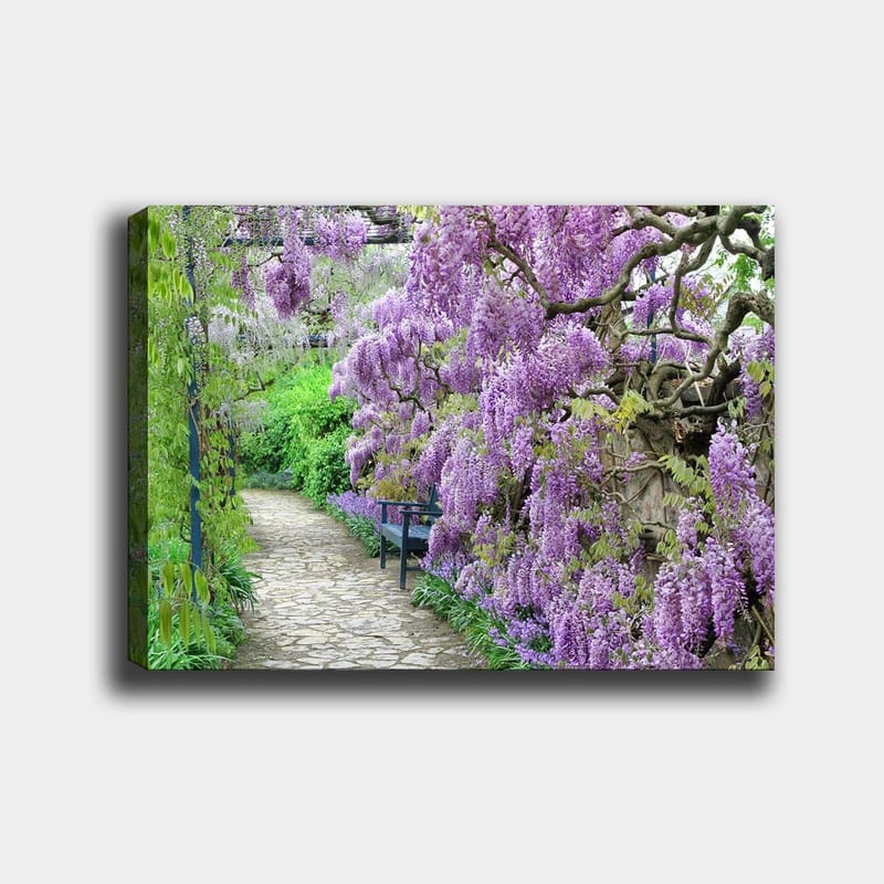 Canvastavla 70x100 cm - Vacker trädgård med blommande wisteria som skapar en romantisk och lugn atmosfär - Lila / Grön - Inredning & dekor - Tavlor & konst - Canvastavla