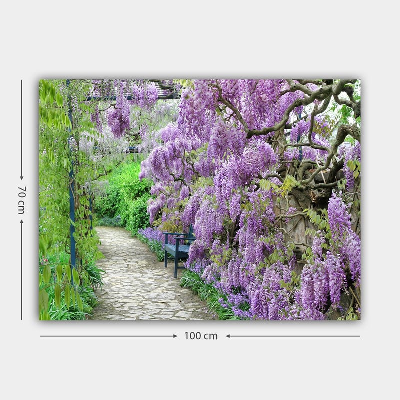Canvastavla 70x100 cm - Vacker trädgård med blommande wisteria som skapar en romantisk och lugn atmosfär - Lila / Grön - Inredning & dekor - Tavlor & konst - Canvastavla