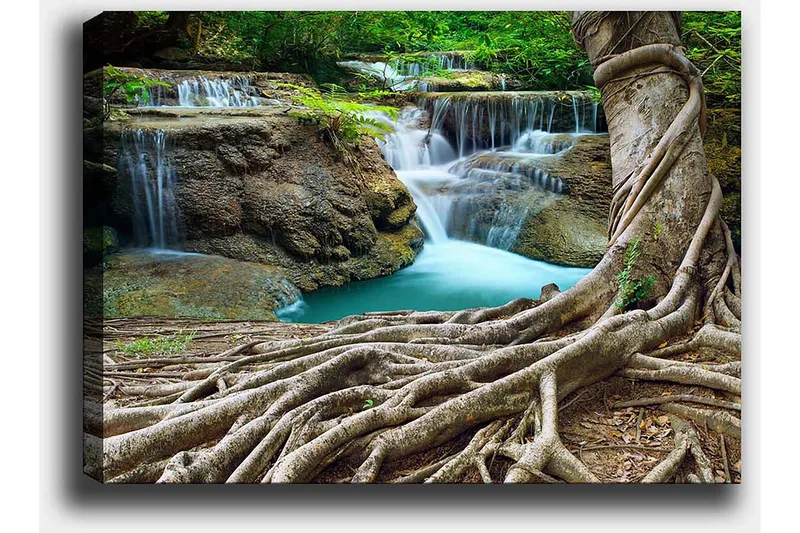 Canvastavla 70x100 cm - Vacker vattenfallsscen omgiven av frodig grönska och kraftiga trädstammar - Grön / Blå / Brun - Inredning & dekor - Tavlor & konst - Canvastavla