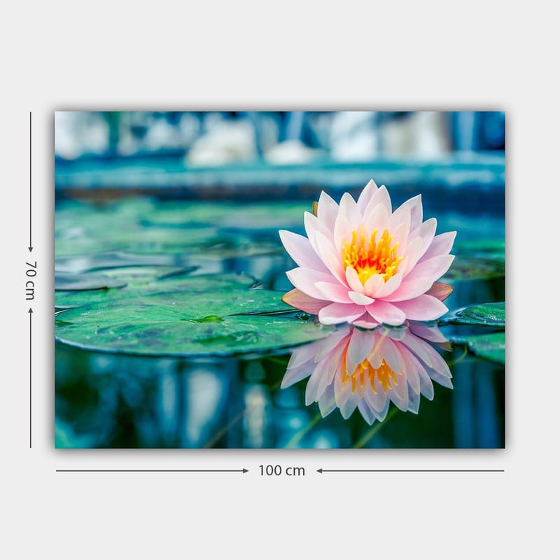 Canvastavla 70x100 cm - Vacker vattenlilja som flyter på en stilla sjö med gröna näckrosblad - Rosa / Grönt / Gult - Inredning & dekor - Tavlor & konst - Canvastavla