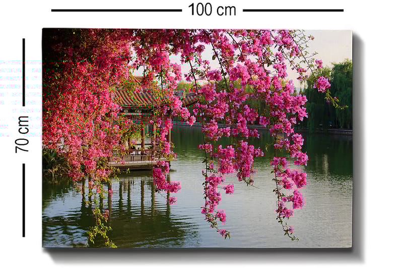 Canvastavla 70x100 cm - Vacker vy med blommande bougainvillea som hänger över en stilla sjö och en traditionell paviljong i bakgrunden - Rosa / Grön / Blågrå - Inredning & dekor - Tavlor & konst - Canvastavla