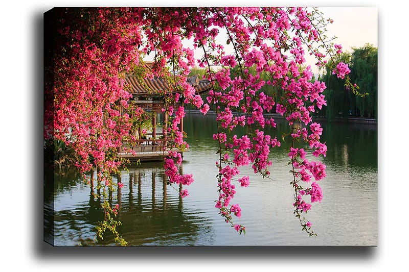 Canvastavla 70x100 cm - Vacker vy med blommande bougainvillea som hänger över en stilla sjö och en traditionell paviljong i bakgrunden - Rosa / Grön / Blågrå - Inredning & dekor - Tavlor & konst - Canvastavla