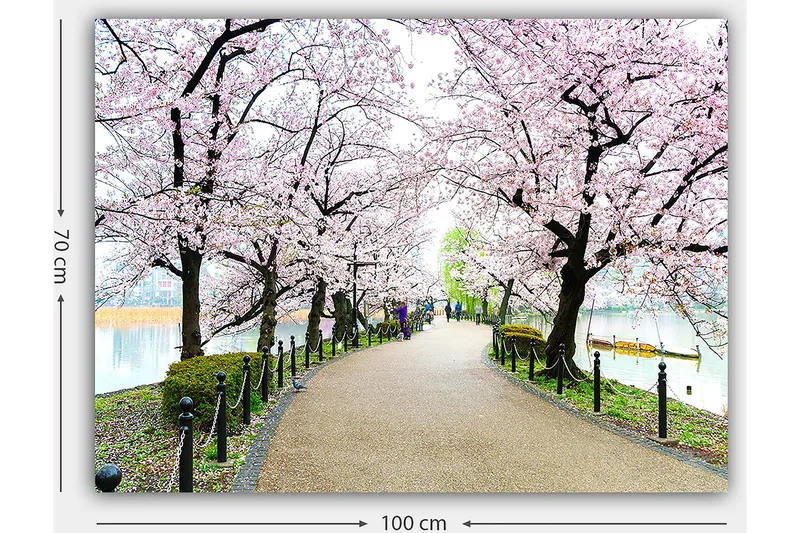 Canvastavla 70x100 cm - Vacker promenad kantad av körsbärsträd i full blom - Rosa / Grön / Brun - Inredning & dekor - Tavlor & konst - Canvastavla