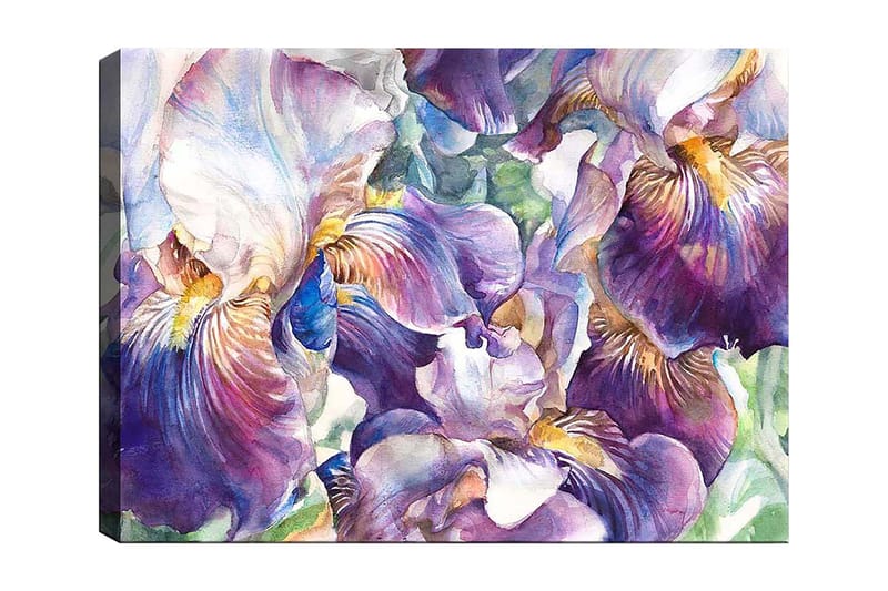 Canvastavla 70x100 cm - Vackra irisblommor i en färgsprakande komposition - Lila / Vit / Gul - Inredning & dekor - Tavlor & konst - Canvastavla