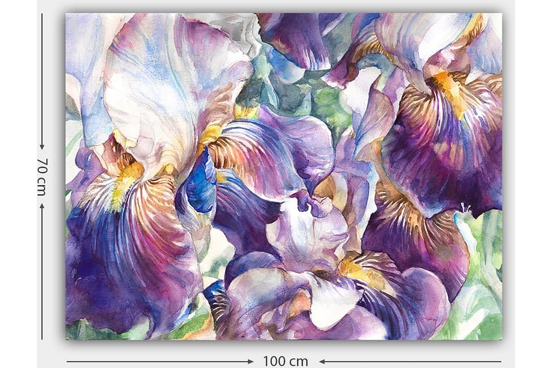 Canvastavla 70x100 cm - Vackra irisblommor i en färgsprakande komposition - Lila / Vit / Gul - Inredning & dekor - Tavlor & konst - Canvastavla