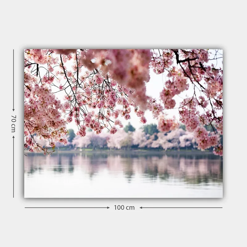 Canvastavla 70x100 cm - Vackra körsbärsblommor som sväva över en spegelblanka sjö - Ljusrosa / Mörkrosa / Grön - Inredning & dekor - Tavlor & konst - Canvastavla