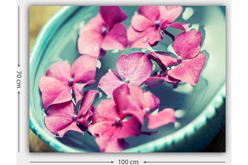 Canvastavla 70x100 cm - Vackra rosa blommor som flyter i en turkos skål - Rosa / Turkos - Inredning & dekor - Tavlor & konst - Canvastavla