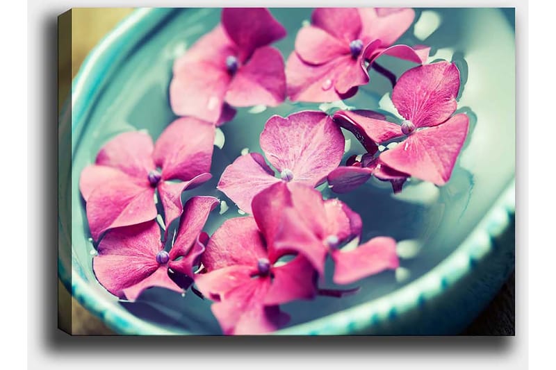 Canvastavla 70x100 cm - Vackra rosa blommor som flyter i en turkos skål - Rosa / Turkos - Inredning & dekor - Tavlor & konst - Canvastavla