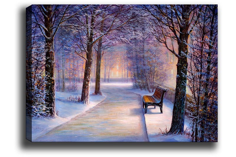 Canvastavla 70x100 cm - Vinterpromenad med snötäckta träd och en ensam bänk längs en stig - Blå / Vit / Grå - Inredning & dekor - Tavlor & konst - Canvastavla