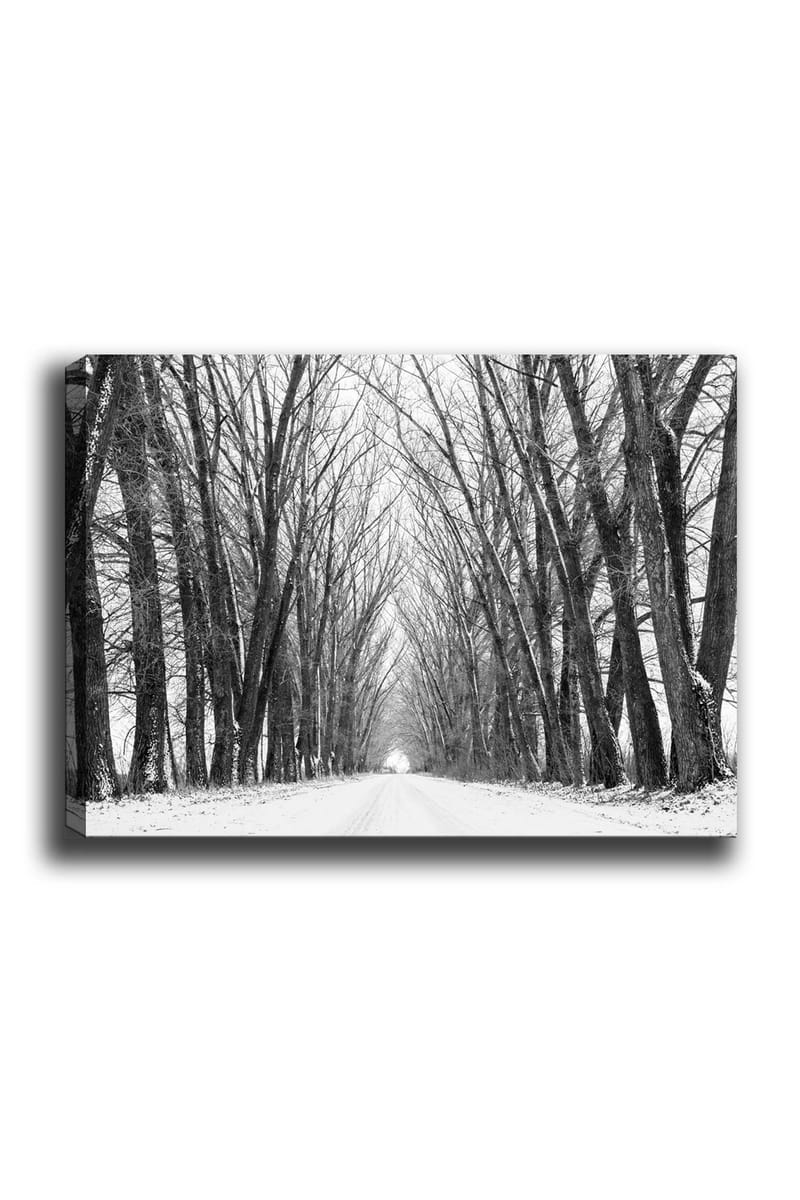 Canvastavla 70x100 cm - Vinterväg omgiven av nakna träd som skapar en stämningsfull och stillsam atmosfär, Svart / Vitt / Grått