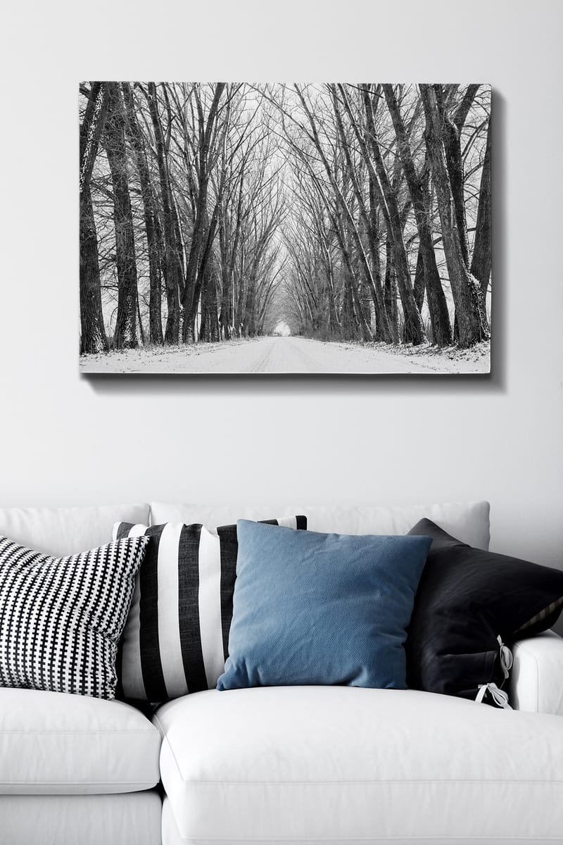 Canvastavla 70x100 cm - Vinterväg omgiven av nakna träd som skapar en stämningsfull och stillsam atmosfär - Svart / Vitt / Grått - Inredning & dekor - Tavlor & konst - Canvastavla