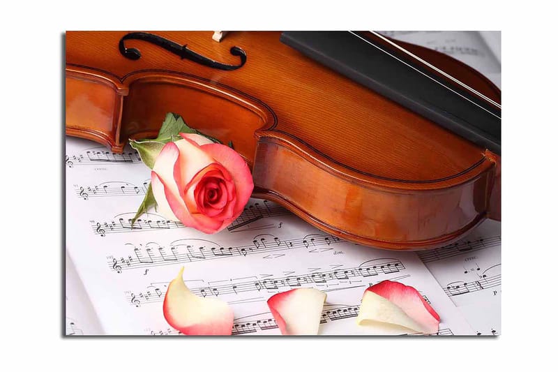 Canvastavla 70x100 cm - Violin med en ros och rosblad på ett notblad, Röd / Beige / Brun