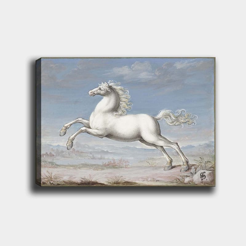 Canvastavla 70x100 cm - Vit häst som hoppar framåt i en naturskön landskapsmiljö - Vit / Ljusblå / Beige - Inredning & dekor - Tavlor & konst - Canvastavla