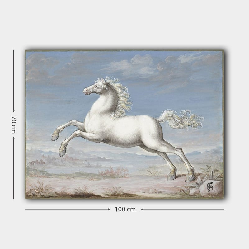 Canvastavla 70x100 cm - Vit häst som hoppar framåt i en naturskön landskapsmiljö - Vit / Ljusblå / Beige - Inredning & dekor - Tavlor & konst - Canvastavla