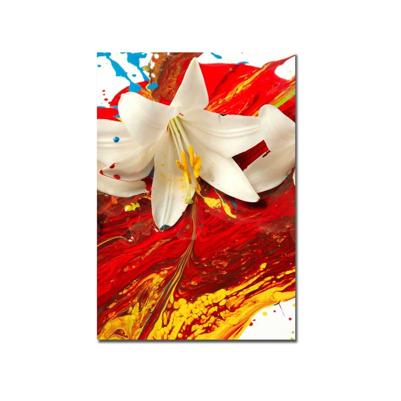 Canvastavla 70x100 cm - Vit lilja som framträder mot en bakgrund av intensiva röda och gula färger - Röd / Gul / Vit - Inredning & dekor - Tavlor & konst - Canvastavla