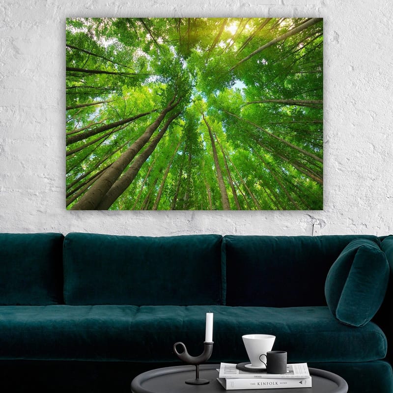 Canvastavla 70x100 cm - Vy av höga träd sedd från marken, som sträcker sig mot en klar himmel - Grön / Brun - Inredning & dekor - Tavlor & konst - Canvastavla
