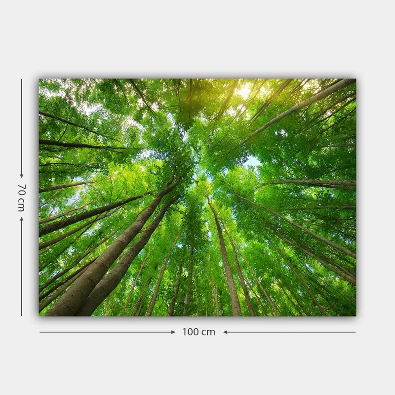 Canvastavla 70x100 cm - Vy av höga träd sedd från marken, som sträcker sig mot en klar himmel - Grön / Brun - Inredning & dekor - Tavlor & konst - Canvastavla