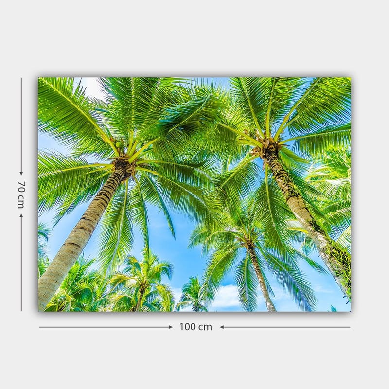 Canvastavla 70x100 cm - Vy av höga palmer som sträcker sig mot en klar blå himmel - Grön / Blå - Inredning & dekor - Tavlor & konst - Canvastavla