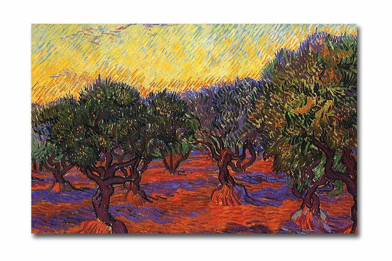 Canvastavla 70x45 cm - Olivlund under en färgstark himmel - Grön / Orange / Lila - Inredning & dekor - Tavlor & konst - Canvastavla