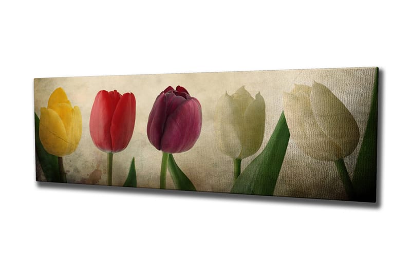 Canvastavla 80x30 cm - Färgrik bukett av tulpaner, Gul / Röd / Vit