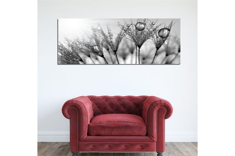 Canvastavla 80x30 cm - Svartvit bild av vattendroppar på fjädrar - Svart / Vitt / Grått - Inredning & dekor - Tavlor & konst - Canvastavla