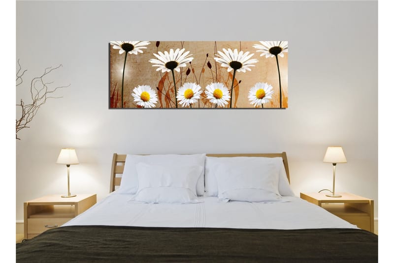 Canvastavla 80x30 cm - Vackra prästkragar i en harmonisk komposition - Vit / Gul / Beige - Inredning & dekor - Tavlor & konst - Canvastavla