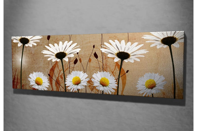 Canvastavla 80x30 cm - Vackra prästkragar i en harmonisk komposition - Vit / Gul / Beige - Inredning & dekor - Tavlor & konst - Canvastavla